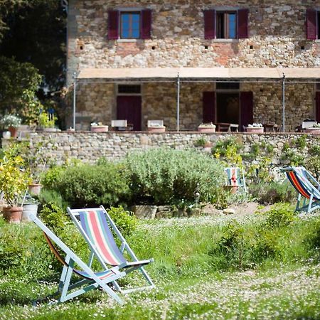 Ancora Del Chianti Bed & Breakfast Greve in Chianti Ngoại thất bức ảnh