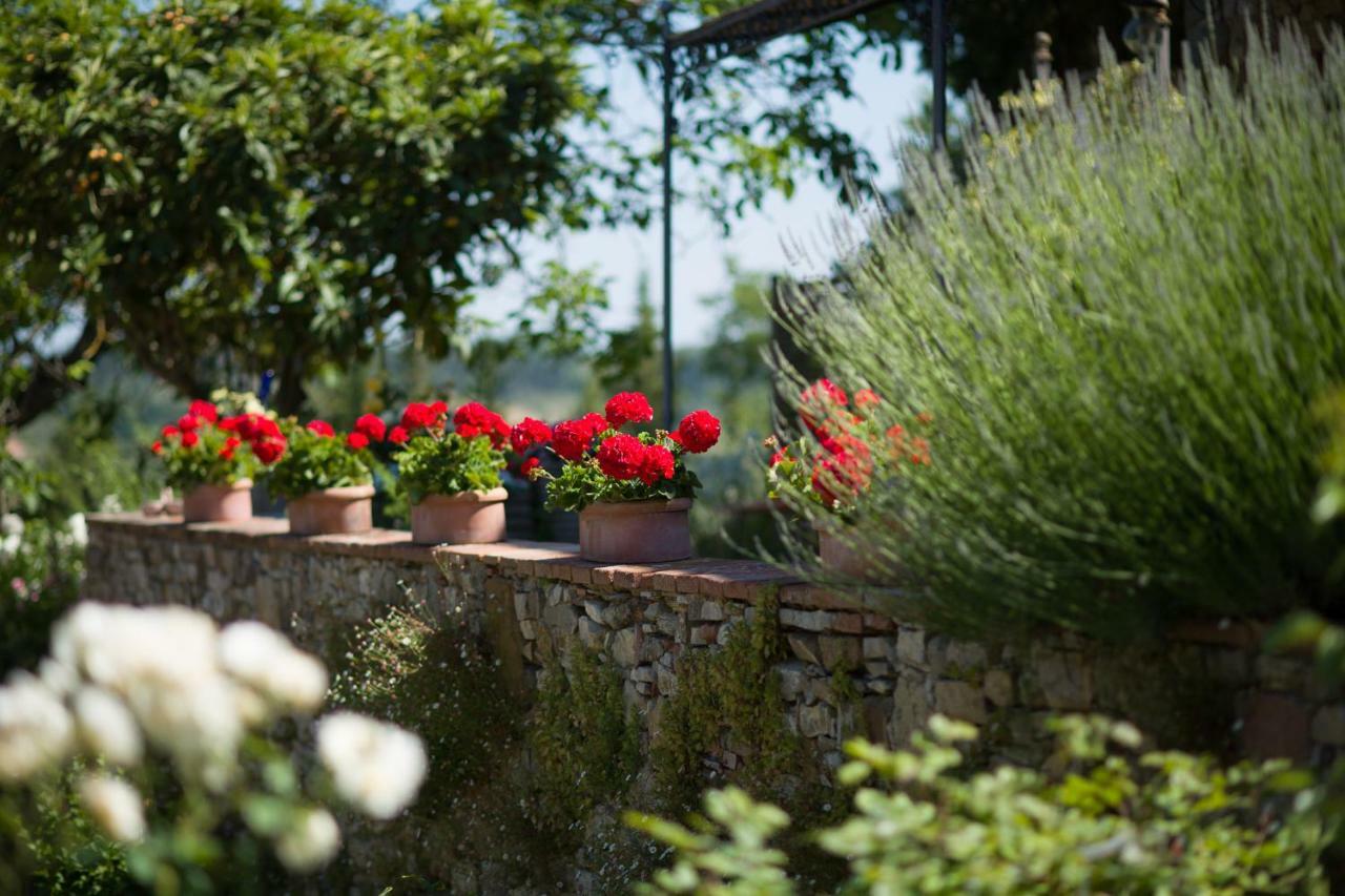 Ancora Del Chianti Bed & Breakfast Greve in Chianti Ngoại thất bức ảnh