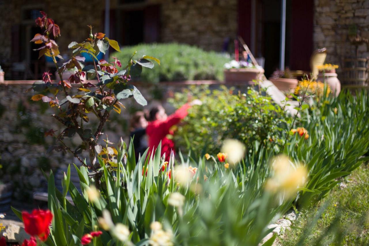 Ancora Del Chianti Bed & Breakfast Greve in Chianti Ngoại thất bức ảnh